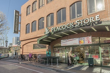 peacock store kugayamax.jpg